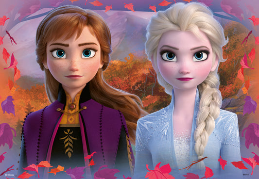 Disney Frozen 2 - Reis naar het Onbekende (2 x 12)