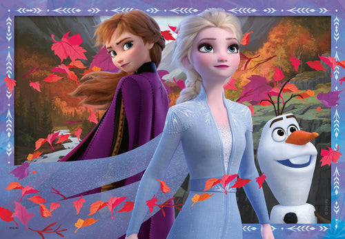Disney La Reine des Neiges 2 - Aventures glacées (2 x 24)